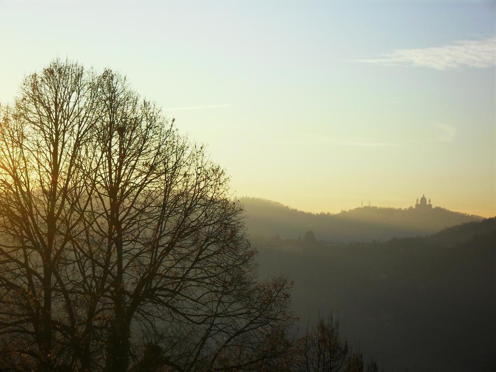 Bed and Breakfast Il Cortiletto Dei Capperi Gassino Torinese Номер фото